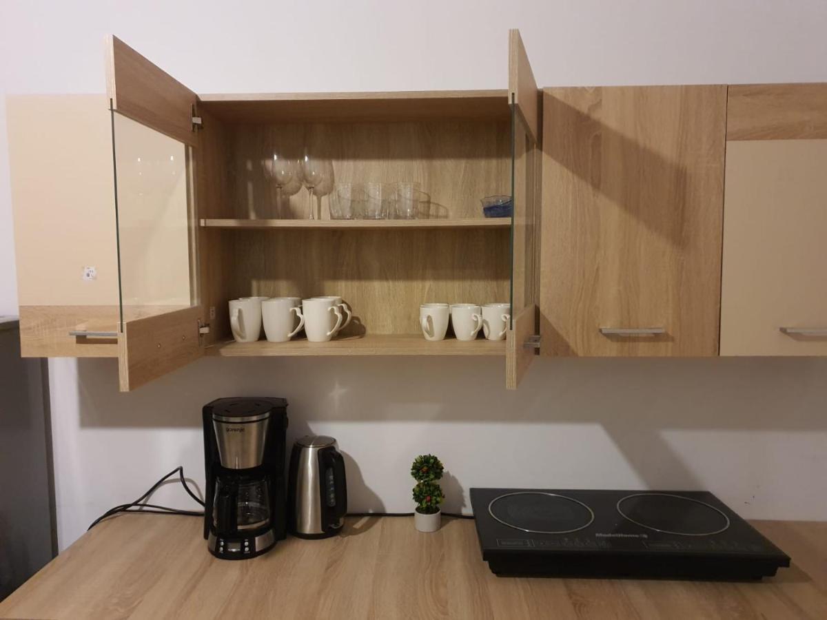 Apartament Enescu Temeşvar Dış mekan fotoğraf